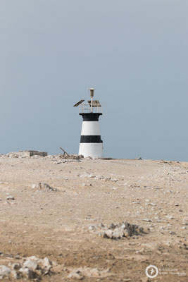 Isla Foca