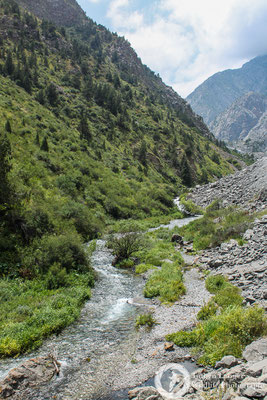 Hiking in the mountains