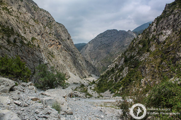 Hiking in the mountains