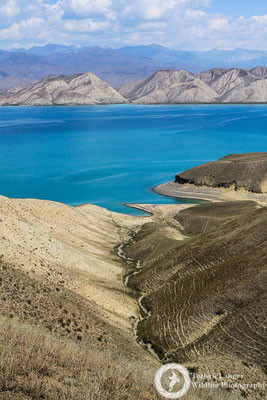 Toktogul reservoir