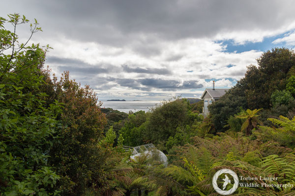 Stewart Island