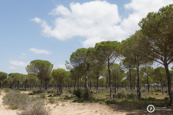 Landscape impressions