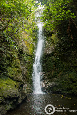  Ohau Stream Waterfall