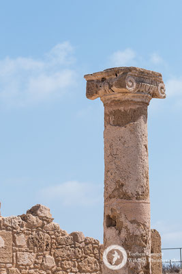 Paphos Archaeological Park