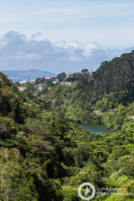 Zealandia