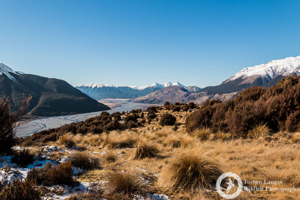 Hiking in Craigieburn Forest Park