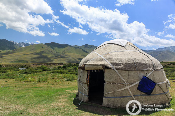 Yurt