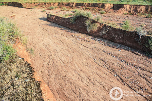 A dry river bed
