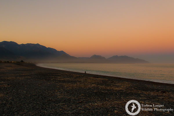 Kaikoura Beach