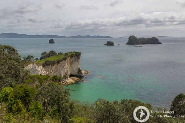 Cathedral Cove