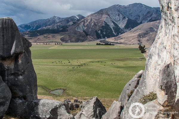 Castle Hill