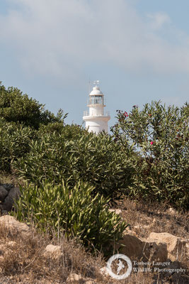Paphos Archaeological Park