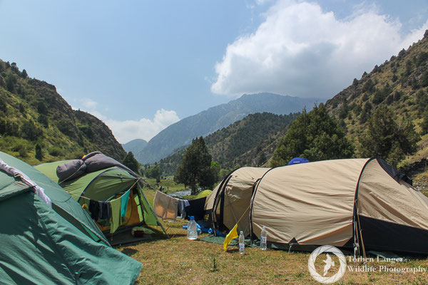 The camp