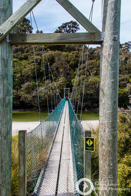 Rakiura Track on Stewart Island