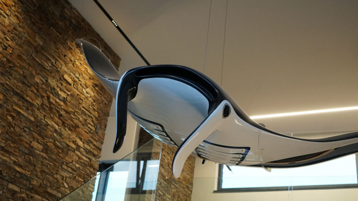 Deckenintegrierte Profile nehmen je nach Bedarf Lichtlinien, Lichtmodule und Strahler für die Akzentbeleuchtung auf