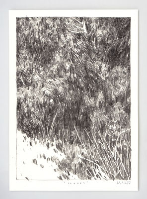 Dyptique "LANDES I", partie 02 _ graphite sur papier ursus _ 21x29.7cm