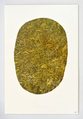 VENDU - SOLD /// "BERCAIL 03" / Encre & aquarelle / 60x40cm