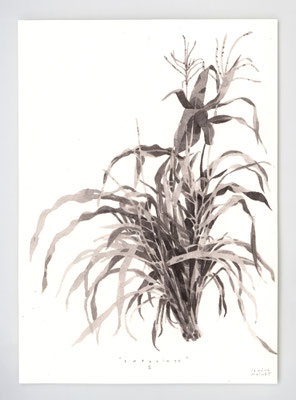 EMPREINTE II _ 21x29,7cm _ lavis _ papier Ursus 300gr