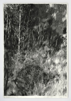 "LANDES III" _ Fusain sur papier OLD MILL 500 gr _ 70x100cm