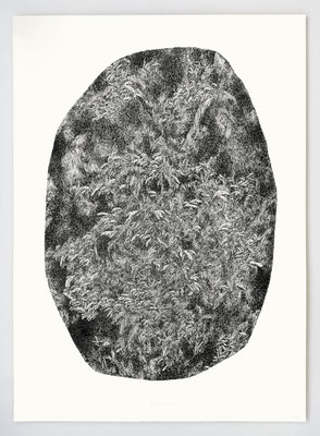 VENDU - SOLD /// "BERCAIL 03" / Encre / 70x100cm