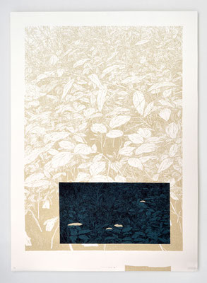 Lisière 3 _50x70cm _ sérigraphie 3 passages _ papier Ursus 300gr