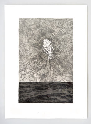 VENDU - SOLD /// LISIERE 02 _ 50x70cm _ stylo, graphite et encre de chine _ papier lanaquarelle 100% coton 640gr