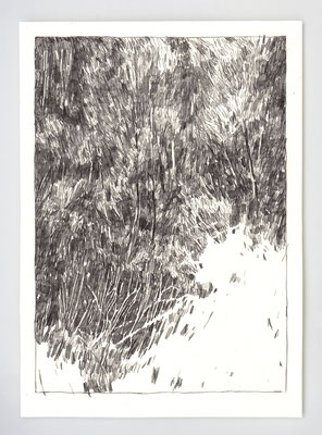 Dyptique "LANDES I", partie 01 _ graphite sur papier ursus _ 21x29.7cm