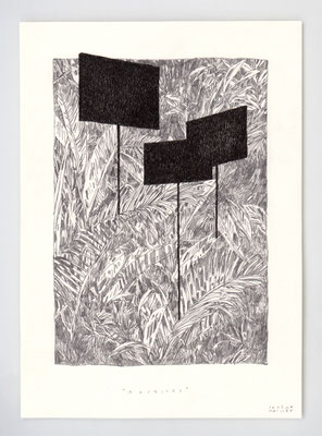 ARCHIVES _ 21x29,7cm _ graphite et encre _ papier Ursus 300gr