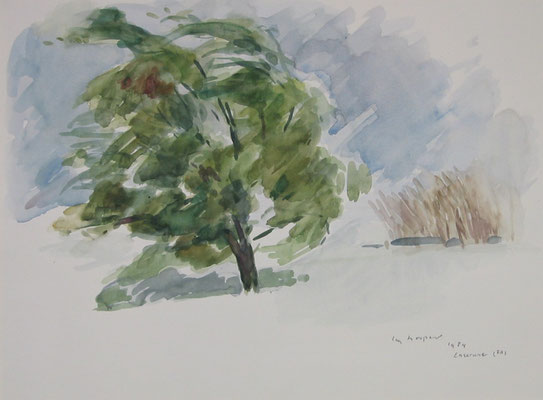 Paul Hugo ten Hoopen 1984 Boom en Riet en Storm Enserune-Frankrijk  47x35