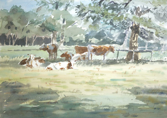 M.Kranendonk   'Verkoeling zoekende koeien'  aquarel 45 x 60 
