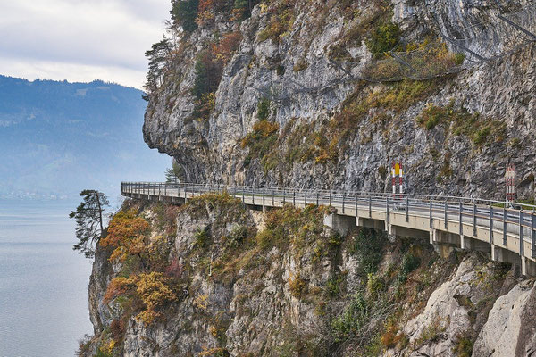 Strasse entlang des Brienzersees