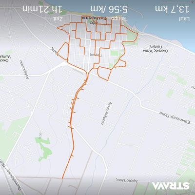 Rose - 28.10.2022