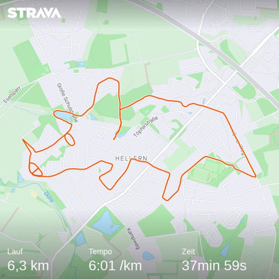 Triceratops - 15.01.2023
