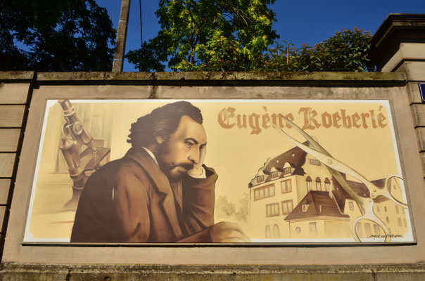 Eugène Koeberlé, chirurgien et humaniste, né à Sélestat