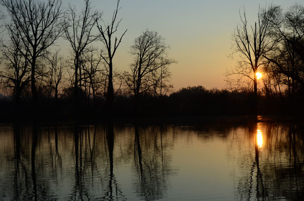 Aurore au-dessus de l'étang (Petite Camargue alsacienne, Haut-Rhin)  Décembre 2015