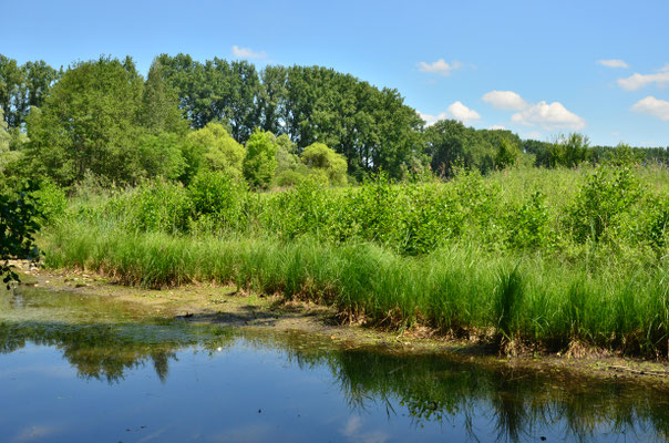 Au bord de l'eau