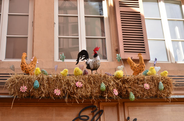 Poussins au balcon (Colmar)