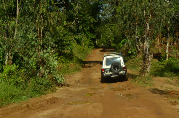 4 X4 (Madagascar)