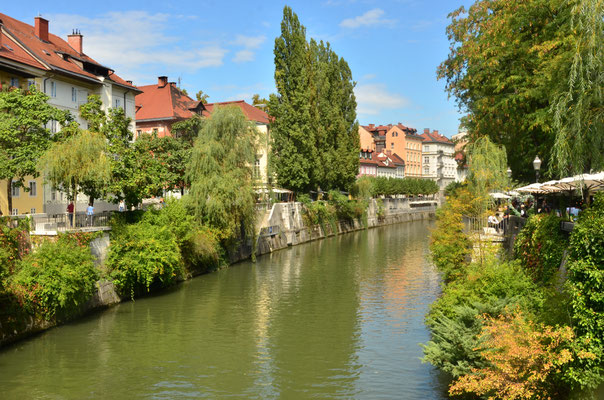 Rivière Ljublanitsa, Ljubljana, Slovénie