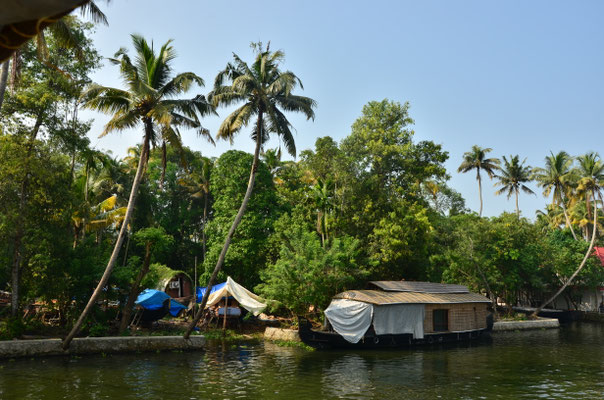 Backwaters, paysage typique du Kerala