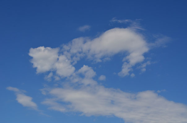 Nuages d'été (Berge de l'Ill, Haut-Rhin)  Août 2017