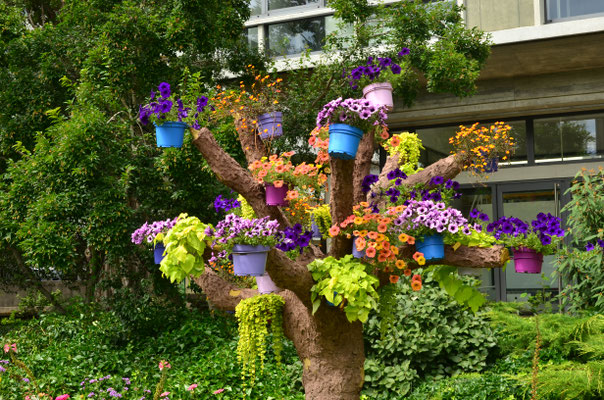 Arbre à fleurs (Mulhouse)