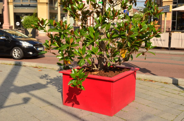 Jardinière rouge