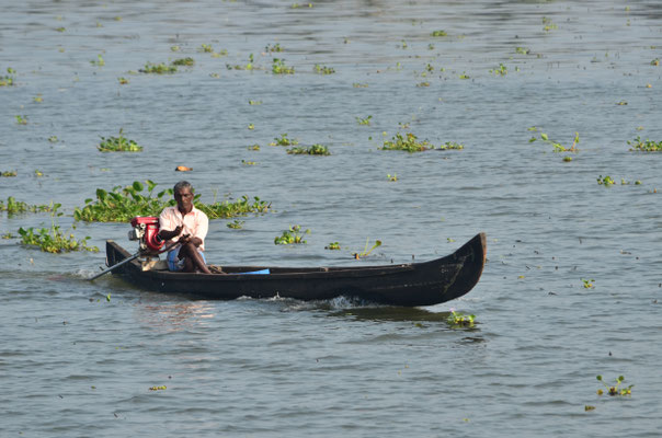 Barque sur les backwaters (Alleppey)