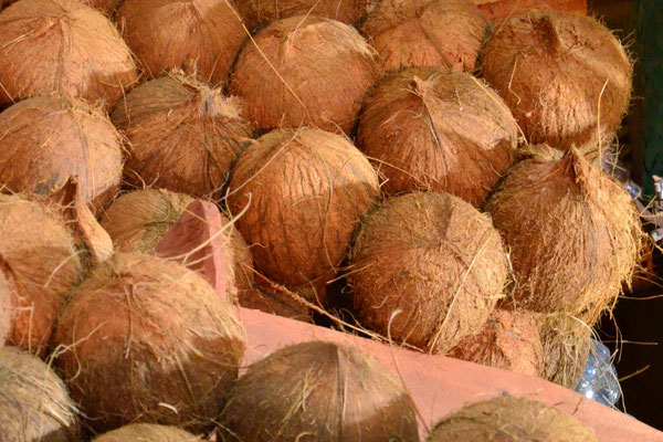 Noix de coco (Madagascar)