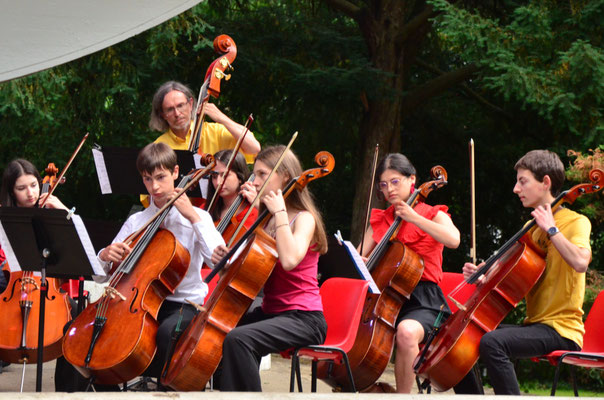 Violoncelles