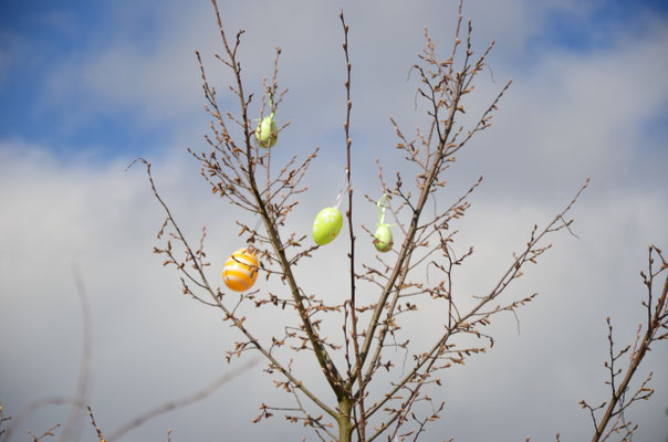 Arbre à œufs (Thann)