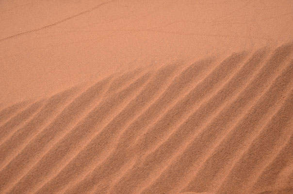 Sable sur les dunes