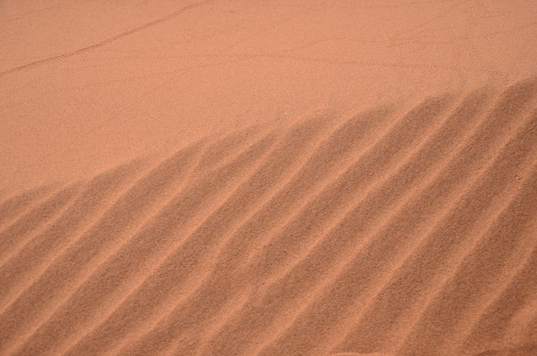 Sable sur les dunes