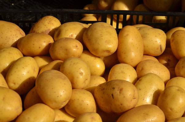 Pommes de terre